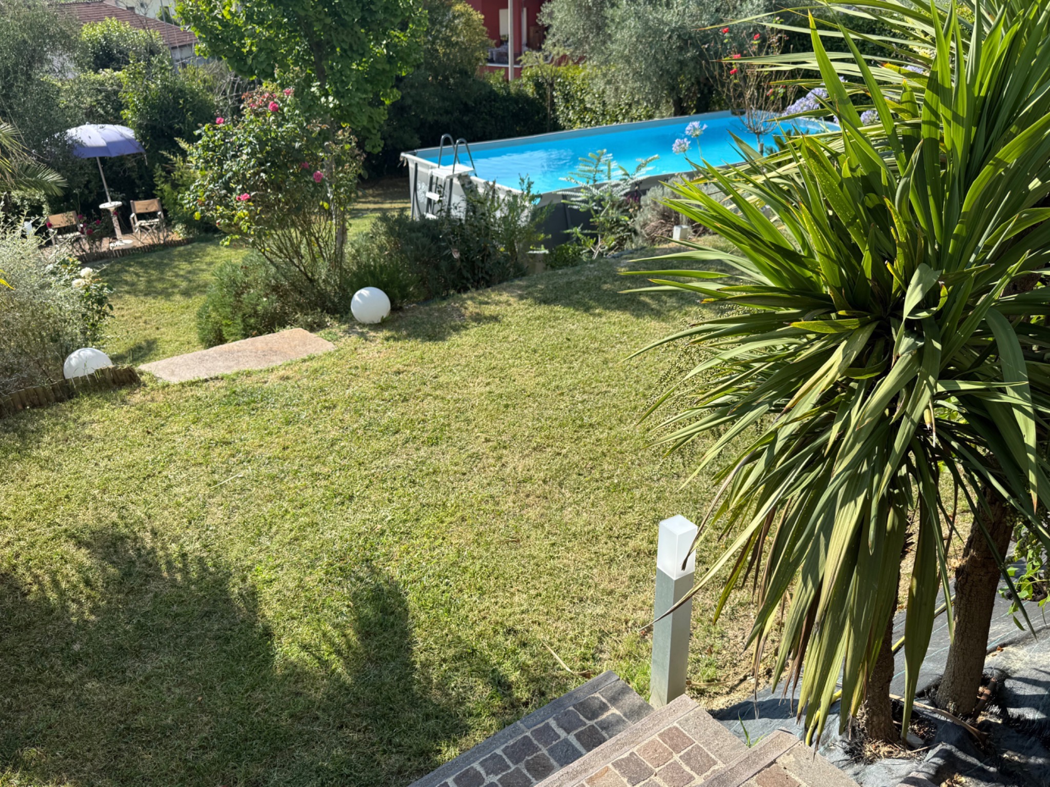 Garden & pool